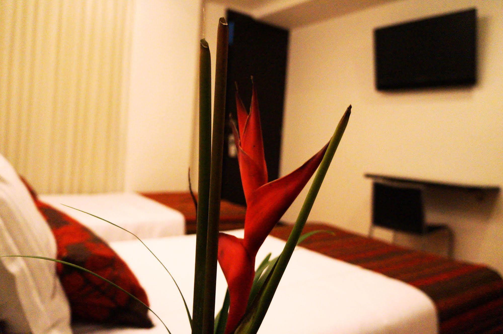 Hotel Airport Travel Bogotá Zewnętrze zdjęcie